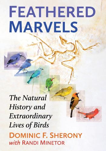 Бумажная книга «Feathered Marvels: The Natural History and Extraordinary Lives of Birds», авторов Доминик Ф. Шерони, Рэнди Минетор - фото №1
