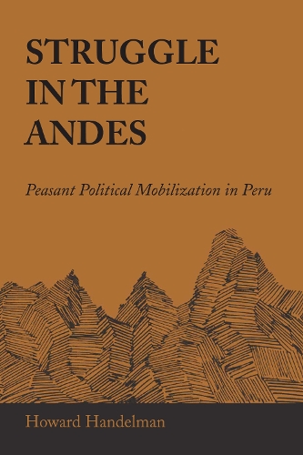 Бумажная книга «Struggle in the Andes: Peasant Political Mobilization in Peru», автор Говард Хандельман - фото №1