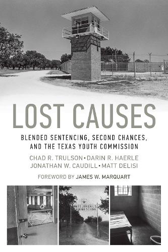 Паперова книга «Lost Causes: Blended Sentencing, Second Chances, and the Texas Youth Commission», авторів Чед Р. Трульсон, Дарін Р. Херле, Джонатан В. Кауділл, Метт ДеЛізі - фото №1