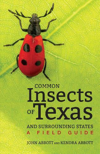 Бумажная книга «Common Insects of Texas and Surrounding States: A Field Guide», авторов Джон К. Эббот, Кендра Эббот - фото №1