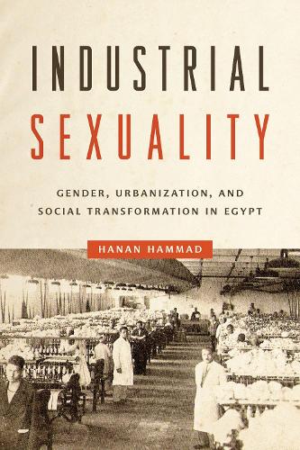 Паперова книга «Industrial Sexuality: Gender, Urbanization, and Social Transformation in Egypt», автор Ханан Хаммад - фото №1