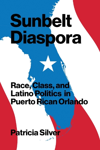 Бумажная книга «Sunbelt Diaspora: Race, Class, and Latino Politics in Puerto Rican Orlando», автор Патриция Силвер - фото №1