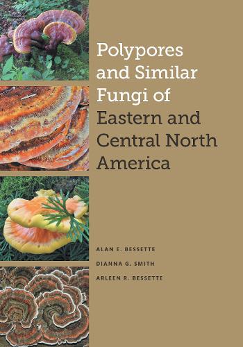 Бумажная книга «Polypores and Similar Fungi of Eastern and Central North America», авторов Алан Э. Бессетт, Арлин Р. Бессетт, Дианна Смит - фото №1