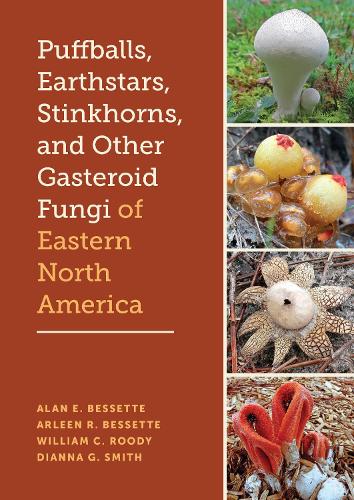 Бумажная книга «Puffballs, Earthstars, Stinkhorns, and Other Gasteroid Fungi of Eastern North America», авторов Алан Э. Бессетт, Арлин Р. Бессетт, Уильям К. Руди - фото №1
