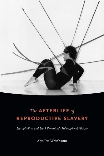 Paper book «The Afterlife of Reproductive Slavery: Biocapitalism and Black Feminism’s Philosophy of History», author Alys Eve Weinbaum - фото №1