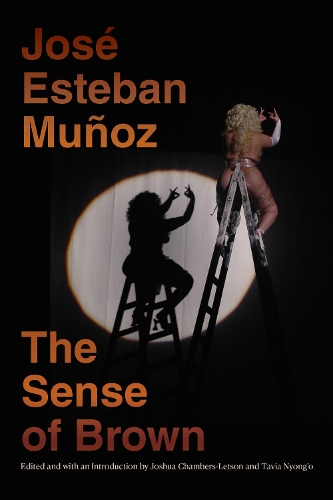 Бумажная книга «The Sense of Brown», автор Хосе Эстебан Муньос - фото №1