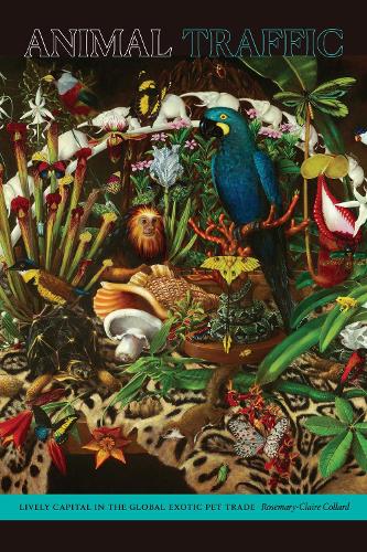 Бумажная книга «Animal Traffic: Lively Capital in the Global Exotic Pet Trade», автор Розмари-Клэр Коллард - фото №1