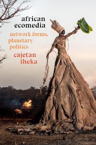 Бумажная книга «African Ecomedia: Network Forms, Planetary Politics», автор Каетан Ихека - фото №1