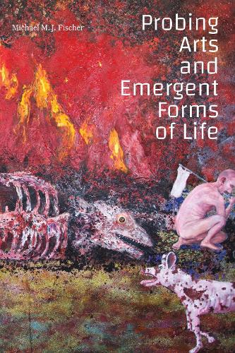 Паперова книга «Probing Arts and Emergent Forms of Life», автор Майкл М. Дж. Фішер - фото №1