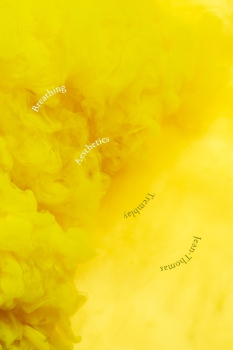 Бумажная книга «Breathing Aesthetics», автор Жан-Томас Трембле - фото №1