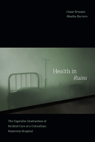 [object Object] «Health in Ruins: The Capitalist Destruction of Medical Care at a Colombian Maternity Hospital», автор Сесар Ернесто Абадія-Барреро - фото №1