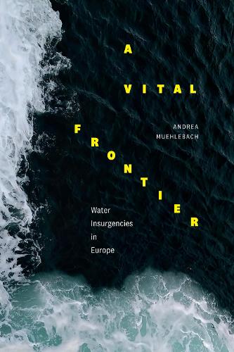 Бумажная книга «A Vital Frontier: Water Insurgencies in Europe», автор Андреа Муэхлебах - фото №1
