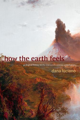 Бумажная книга «How the Earth Feels: Geological Fantasy in the Nineteenth-Century United States», автор Дана Лучано - фото №1