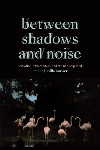 Бумажная книга «Between Shadows and Noise: Sensation, Situatedness, and the Undisciplined», автор Эмбер Джамилла Мюссер - фото №1