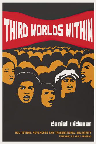 Паперова книга «Third Worlds Within: Multiethnic Movements and Transnational Solidarity», автор Даніель Вайденер - фото №1