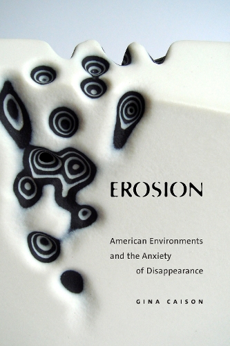 Бумажная книга «Erosion: American Environments and the Anxiety of Disappearance», автор Джина Кайсон - фото №1