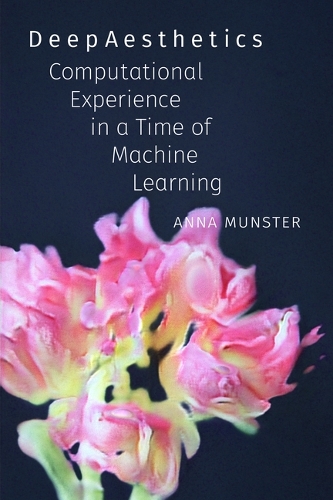 Паперова книга «DeepAesthetics: Computational Experience in a Time of Machine Learning», автор Анна Мюнстер - фото №1
