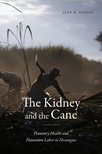 Бумажная книга «The Kidney and the Cane: Planetary Health and Plantation Labor in Nicaragua», автор Алекс М. Нейдинг - фото №1