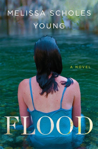 Паперова книга «Flood: A Novel», автор Мелісса Шоулз Янг - фото №1
