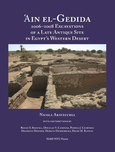 Бумажная книга «'Ain el-Gedida: 2006-2008 Excavations of a Late Antique Site in Egypt's Western Desert (Amheida IV)», автор Никола Аравеккиа - фото №1