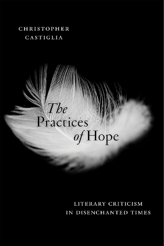 Бумажная книга «The Practices of Hope: Literary Criticism in Disenchanted Times», автор Кристофер Кастилья - фото №1