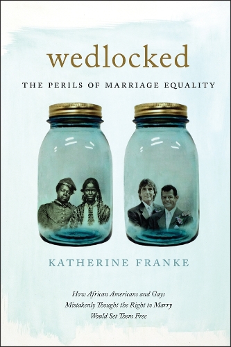 Бумажная книга «Wedlocked: The Perils of Marriage Equality», автор Кэтрин Франке - фото №1
