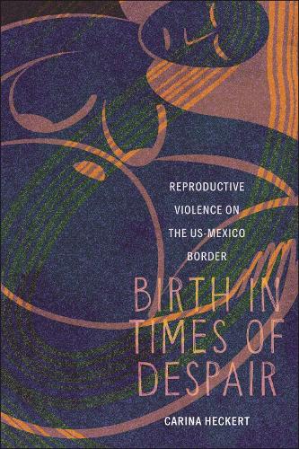 Бумажная книга «Birth in Times of Despair: Reproductive Violence on the US-Mexico Border», автор Карина Хеккерт - фото №1