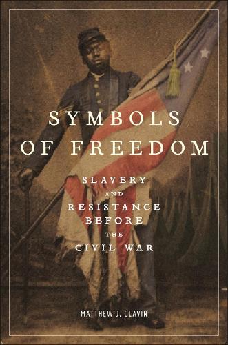 Бумажная книга «Symbols of Freedom: Slavery and Resistance Before the Civil War», автор Мэтью Дж. Клавин - фото №1