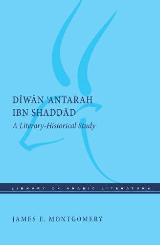 Бумажная книга «Diwan 'Antarah ibn Shaddad: A Literary-Historical Study», автор Джеймс Э. Монтгомери - фото №1