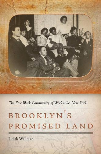 Бумажная книга «Brooklyn's Promised Land: The Free Black Community of Weeksville, New York», автор Джудит Веллман - фото №1
