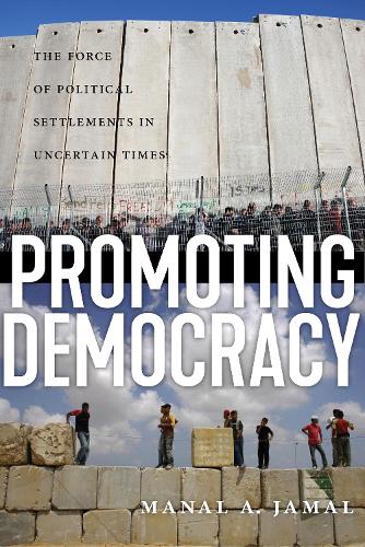 Бумажная книга «Promoting Democracy: The Force of Political Settlements in Uncertain Times», автор Манал А. Джамал - фото №1