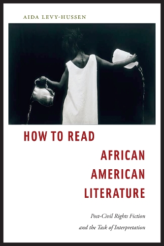 Бумажная книга «How to Read African American Literature: Post-Civil Rights Fiction and the Task of Interpretation», автор Аида Леви-Хуссен - фото №1