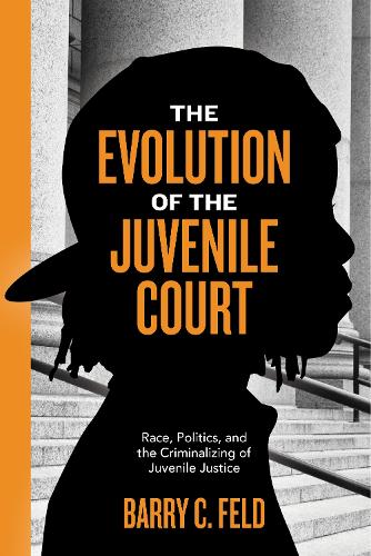 Бумажная книга «The Evolution of the Juvenile Court: Race, Politics, and the Criminalizing of Juvenile Justice», автор Барри К. Филд - фото №1