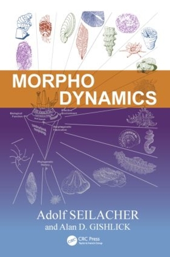 Бумажная книга «Morphodynamics», авторов Адольф Зейлахер, Алан Д. Гишлик - фото №1