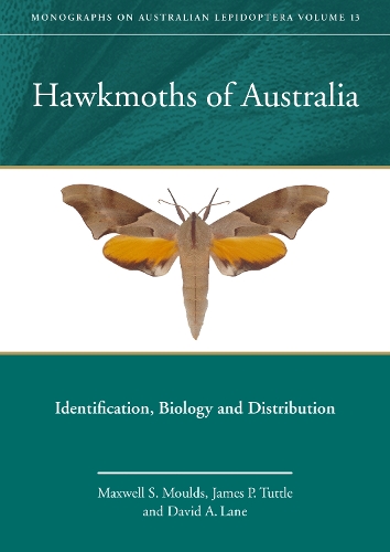 Паперова книга «Hawkmoths of Australia: Identification, Biology and Distribution», авторів Девід А. Лейн, Джеймс П. Таттл, Максвелл С. Молдс - фото №1