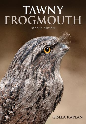 Бумажная книга «Tawny Frogmouth», автор Гизела Каплан - фото №1