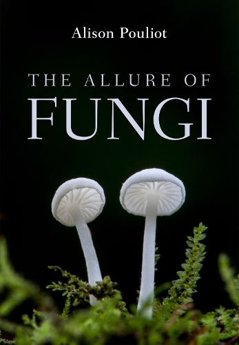 Паперова книга «The Allure of Fungi», автор Елісон Пуліо - фото №1