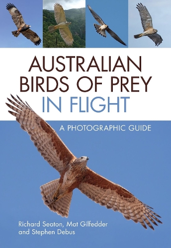 Паперова книга «Australian Birds of Prey in Flight: A Photographic Guide», авторів Мет Гілфеддер, Річард Сітон, Стівен Дебус - фото №1
