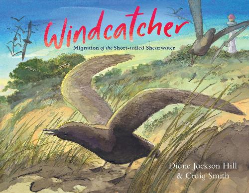 Паперова книга «Windcatcher: Migration of the Short-tailed Shearwater», автор Діана Джексон Хілл - фото №1