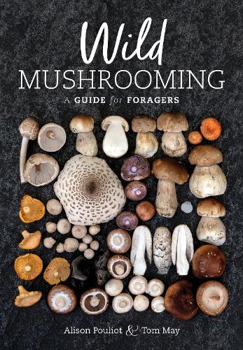 Паперова книга «Wild Mushrooming: A Guide for Foragers», авторів Елісон Пуліо, Том Мей - фото №1