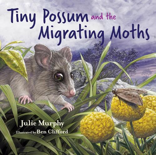 Бумажная книга «Tiny Possum and the Migrating Moths», автор Джули Мёрфи - фото №1