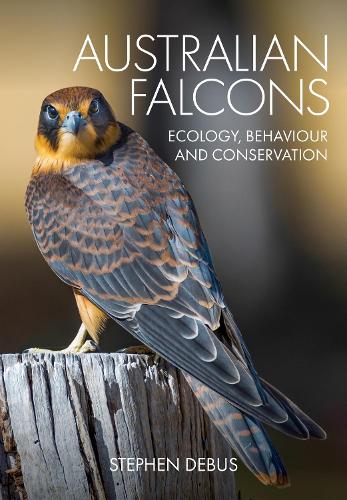 Паперова книга «Australian Falcons: Ecology, Behaviour and Conservation», автор Стівен Дебус - фото №1