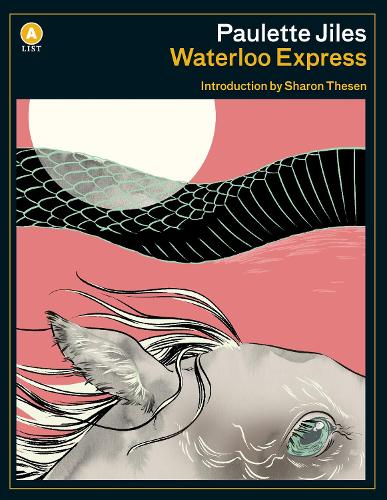 Паперова книга «Waterloo Express», автор Полетт Джилз - фото №1