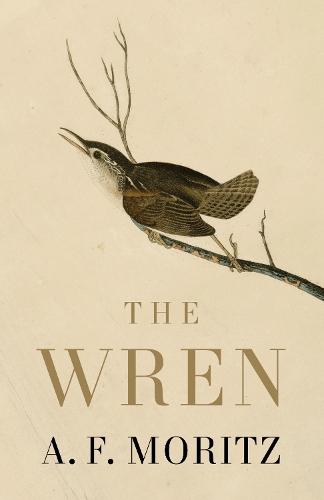 Paper book «The Wren», author A.F. Moritz - фото №1