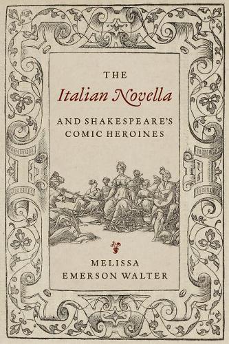 Паперова книга «The Italian Novella and Shakespeare's Comic Heroines», автор Мелісса Волтер - фото №1