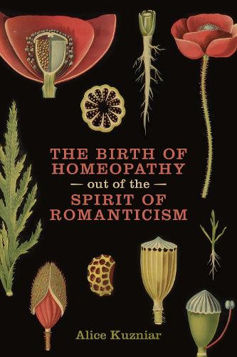 Бумажная книга «The Birth of Homeopathy out of the Spirit of Romanticism», автор Алиса Энн Кузняр - фото №1