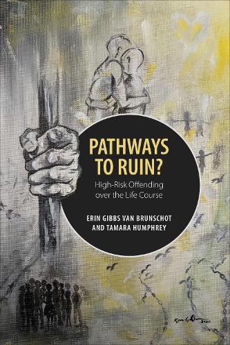 Бумажная книга «Pathways to Ruin?: High-Risk Offending over the Life Course», авторов Эрин Гиббс Ван Бруншот, Тамара Хамфри - фото №1