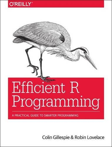 [object Object] «Efficient R Programming», авторів Колін Гіллеспі, Робін Лавлейс - фото №1