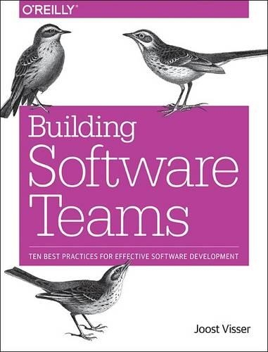 [object Object] «Building Software Teams», авторів Гійс Вейнхольдс, Йост Віссер - фото №1