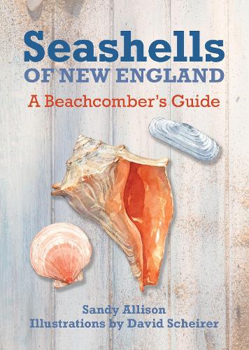 Бумажная книга «Seashells of New England: A Beachcomber's Guide», автор Сэнди Эллисон - фото №1